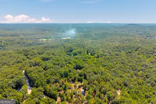 807 Satterfield Rd, Cleveland, GA 30528 - Photo 82