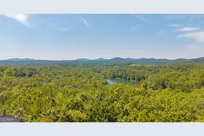 807 Satterfield Road, Cleveland, GA 30528 - Photo 70