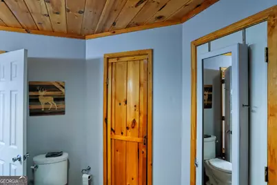 181 Henry Street, Cleveland, GA 30528 - Photo 32