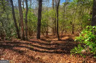 181 Henry St, Cleveland, GA 30528 - Photo 62