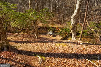 181 Henry Street, Cleveland, GA 30528 - Photo 64