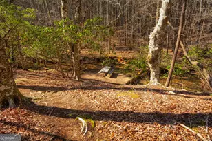 181 Henry St, Cleveland, GA 30528 - Photo 64