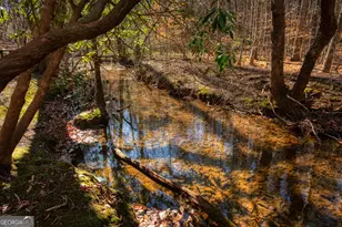 181 Henry St, Cleveland, GA 30528 - Photo 66