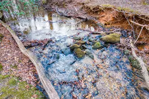 181 Henry St, Cleveland, GA 30528 - Photo 72