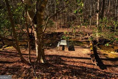 181 Henry Street, Cleveland, GA 30528 - Photo 68