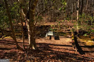 181 Henry St, Cleveland, GA 30528 - Photo 68