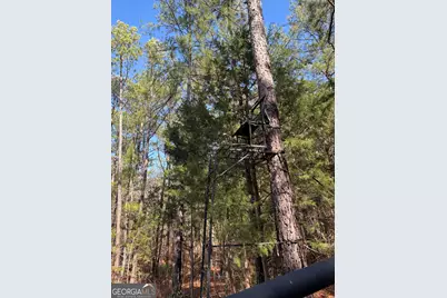 1736 Lincolnton Highway, Elberton, GA 30635 - Photo 32