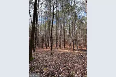1736 Lincolnton Highway, Elberton, GA 30635 - Photo 8