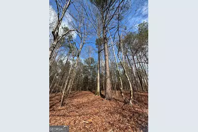 1736 Lincolnton Highway, Elberton, GA 30635 - Photo 18