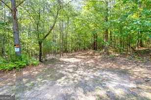 0 Winding Way, Hartwell, GA 30643 - Photo 1