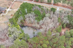 354 Turner Rd, Newnan, GA 30263 - Photo 80