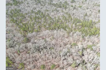 0 Suddeth Road, Butler, GA 31006 - Photo 8