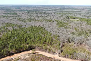 0 Suddeth Rd, Butler, GA 31006 - Photo 1