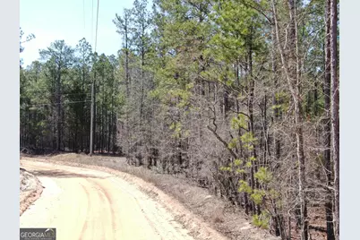 0 Suddeth Road, Butler, GA 31006 - Photo 12