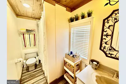 247 Jim Hendrix Lane, Claxton, GA 30417 - Photo 26