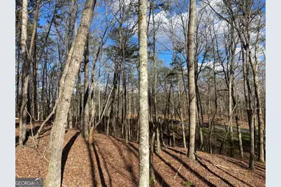 Lot# 208 Pinnacle Drive, Ellijay, GA 30540 - Photo 20