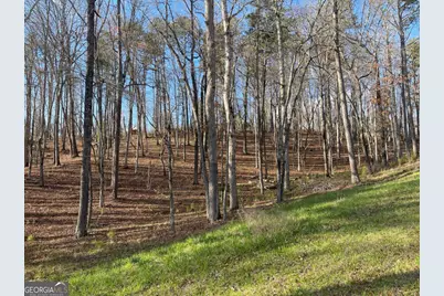 Lot# 208 Pinnacle Drive, Ellijay, GA 30540 - Photo 8