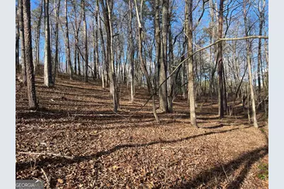 Lot# 208 Pinnacle Drive, Ellijay, GA 30540 - Photo 14