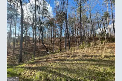Lot# 208 Pinnacle Drive, Ellijay, GA 30540 - Photo 2