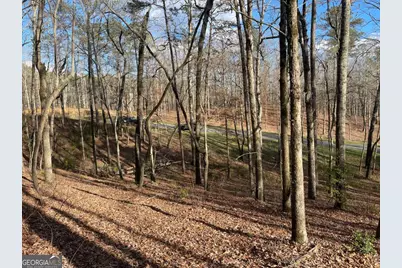 Lot# 208 Pinnacle Drive, Ellijay, GA 30540 - Photo 18