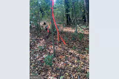 0 Moseley Road, Byron, GA 31008 - Photo 10