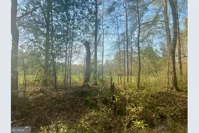 0 Moseley Road, Byron, GA 31008 - Photo 4