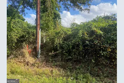 0 Moseley Road, Byron, GA 31008 - Photo 6