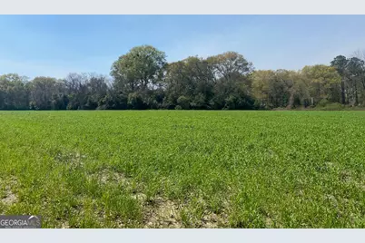 0 Moseley Road, Byron, GA 31008 - Photo 2