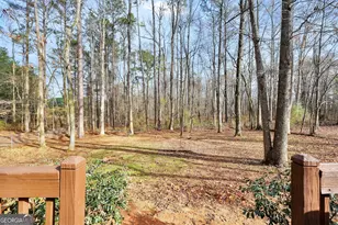 145 Old Hwy 85, Senoia, GA 30276 - Photo 30