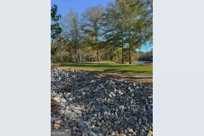 11709 Ga-1, Lumpkin, GA 31815 - Photo 40