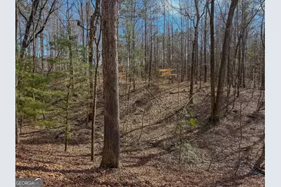 11709 Ga-1, Lumpkin, GA 31815 - Photo 26