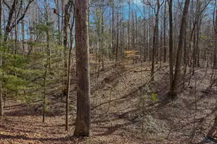 11709 Ga-1, Lumpkin, GA 31815 - Photo 26