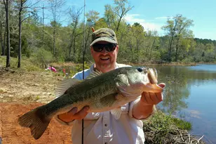 11709 Ga-1, Lumpkin, GA 31815 - Photo 22