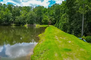 11709 Ga-1, Lumpkin, GA 31815 - Photo 36