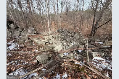 1142 Whiteside Drive, Elberton, GA 30635 - Photo 6