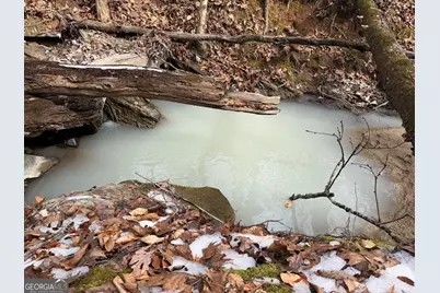 1142 Whiteside Drive, Elberton, GA 30635 - Photo 10