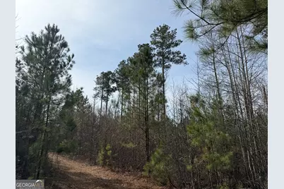 1142 Whiteside Drive, Elberton, GA 30635 - Photo 26