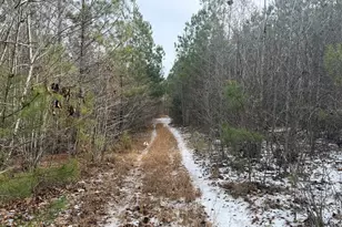 1142 Whiteside Dr, Elberton, GA 30635 - Photo 1