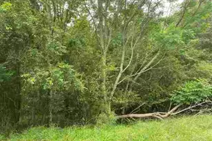 0 River Birch Ln, Colbert, GA 30628 - Photo 1