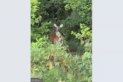 1270 McGarity Road, Temple, GA 30179 - Photo 56