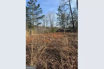 208 Lake Forest Drive, Ellijay, GA 30540 - Photo 8