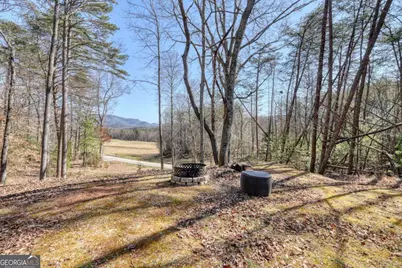 1541 Liberty Church Road, Blairsville, GA 30512 - Photo 46