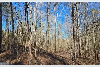 1183 Wilson Bridge Road, Homer, GA 30547 - Photo 18