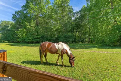 1051 Woodland, Sautee Nacoochee, GA 30571 - Photo 60