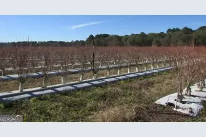 1019 D H Alderman Road, Moultrie, GA 31788 - Photo 18