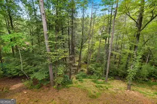 456 Whispering Pne Ln, Cherrylog, GA 30522 - Photo 56