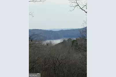 439 Buck Creek Road, Ellijay, GA 30540 - Photo 2