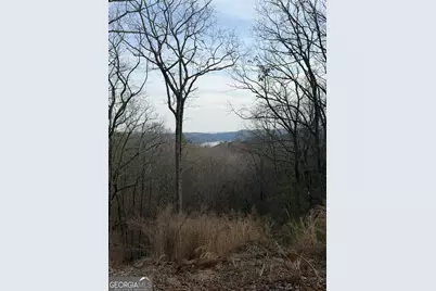 439 Buck Creek Road, Ellijay, GA 30540 - Photo 1