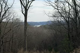 439 Buck Creek Rd, Ellijay, GA 30540 - Photo 1