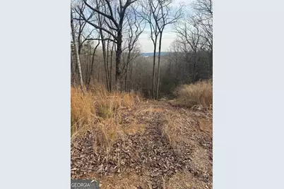 439 Buck Creek Road, Ellijay, GA 30540 - Photo 8